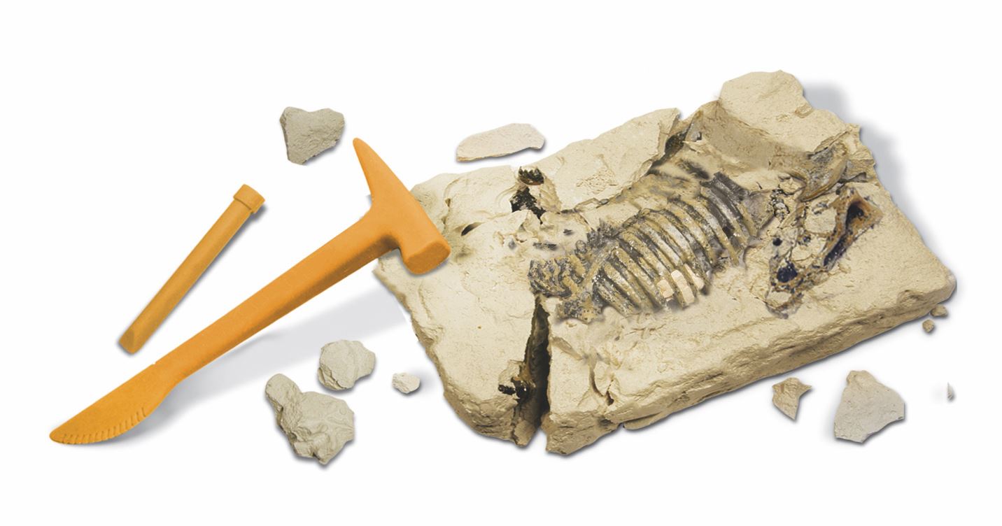 Geoworld Dinosaur Excavation Kit Build a Stygimoloch Skeleton (Pack of 6)