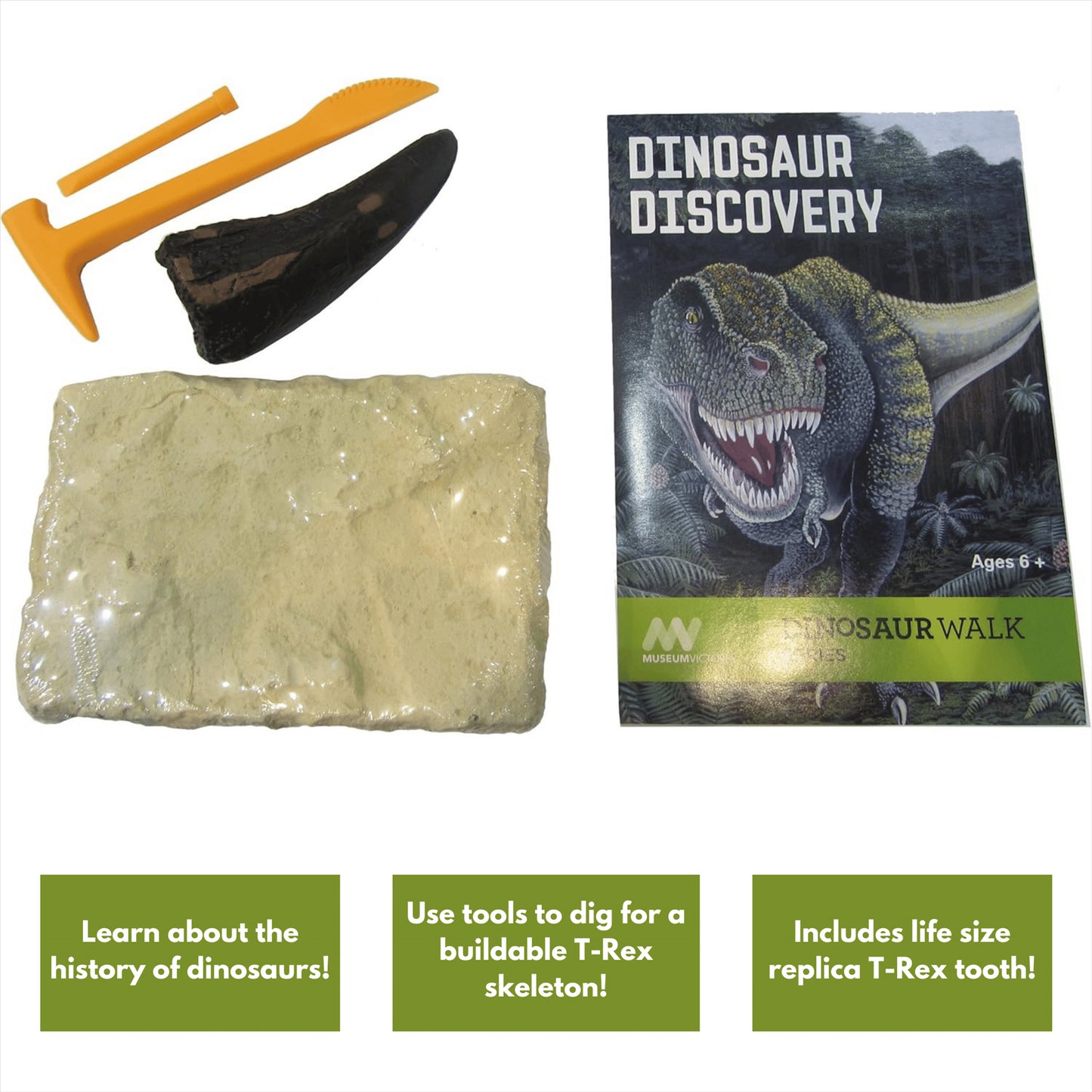 Dinosaur Discovery